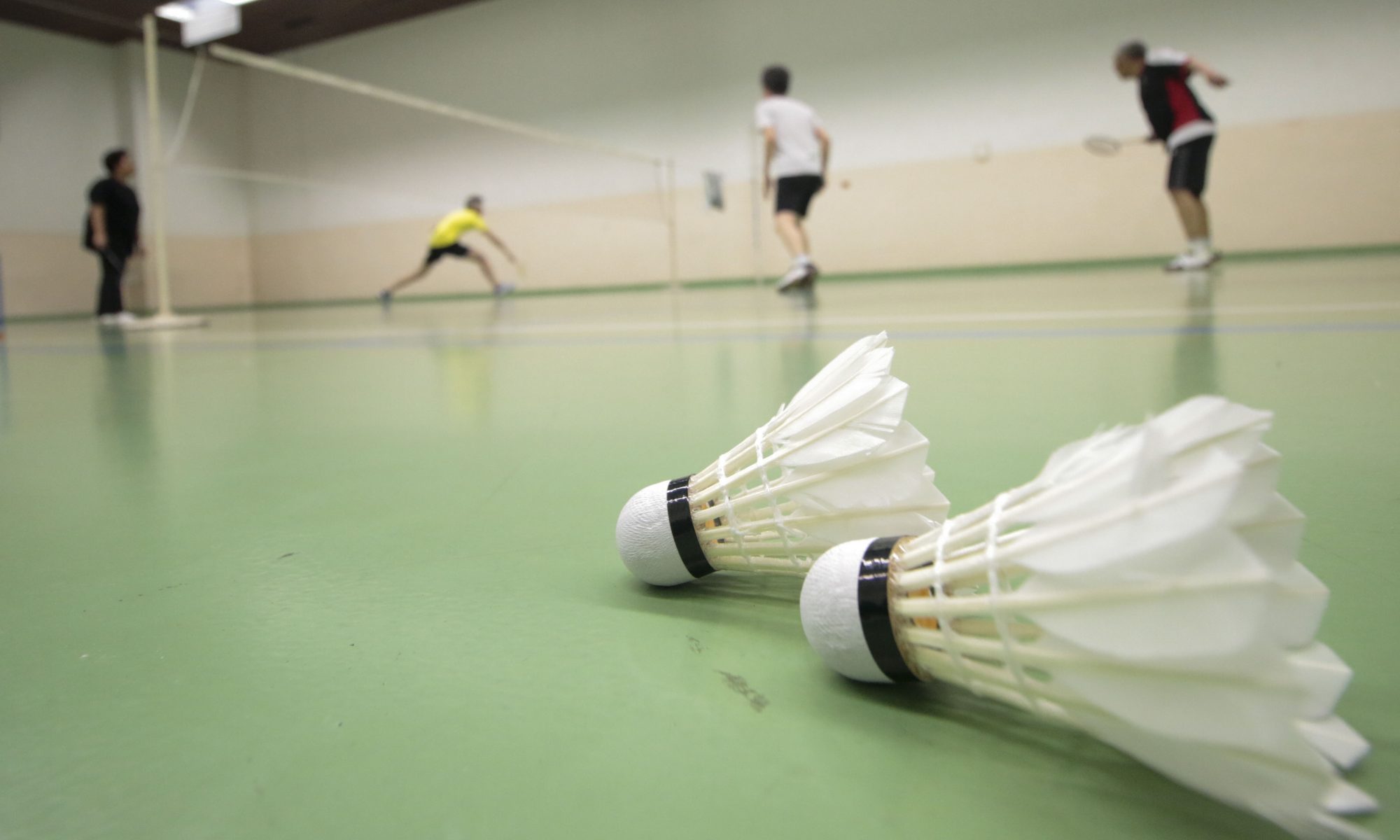 Les différents types de volants de badminton BadGame