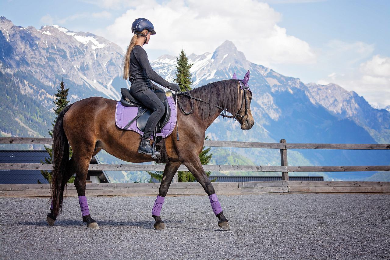 Qu'est-ce que le galop 3 en équitation ?